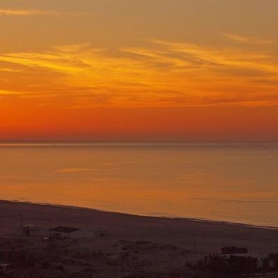 beat365下载手机版